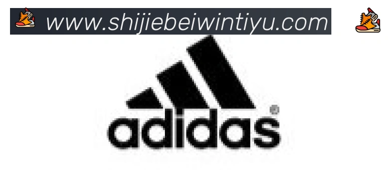 世界杯投注入口合作伙伴